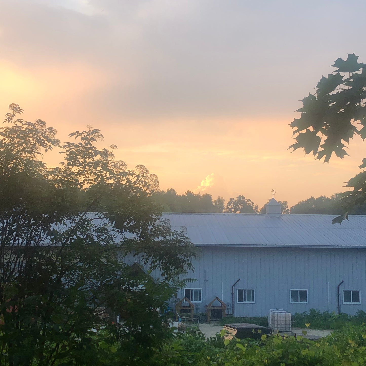 🌾 2026 Mycoterra Farm Grow With Us CSA – Farm Share Membership