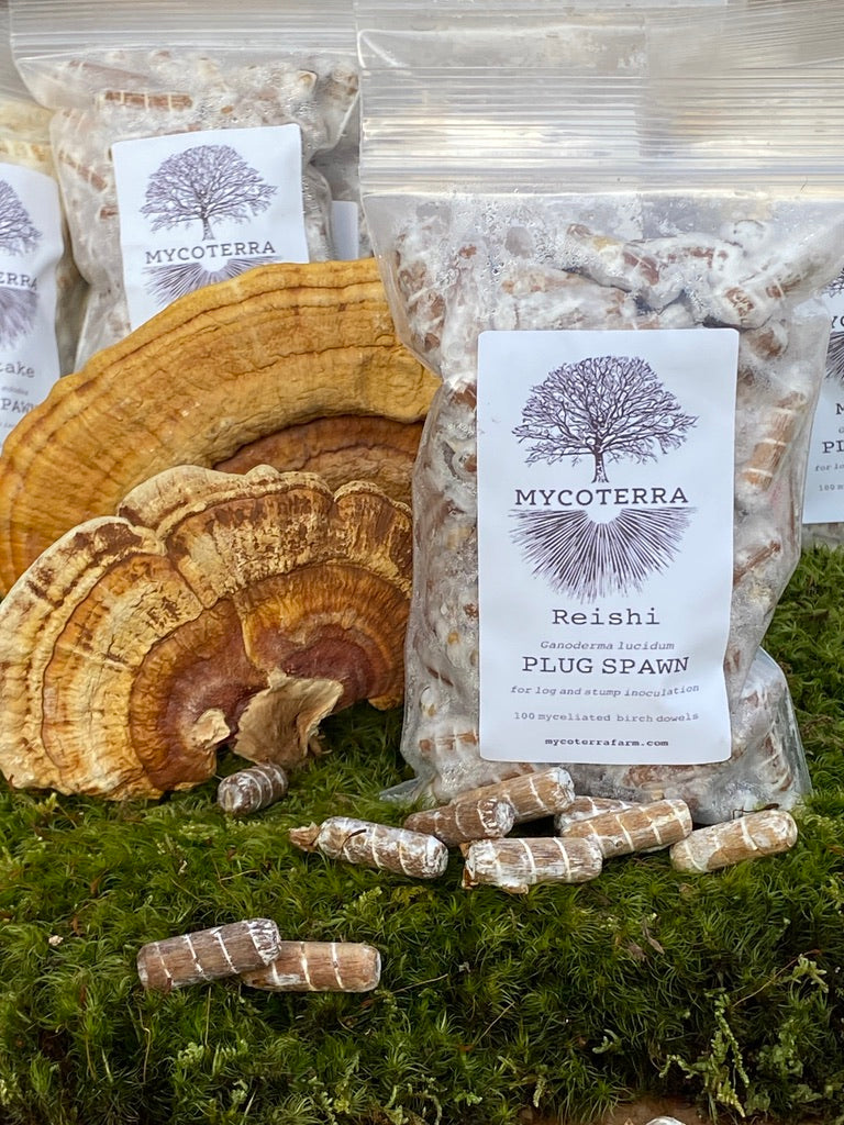 February Cultivation Workshop