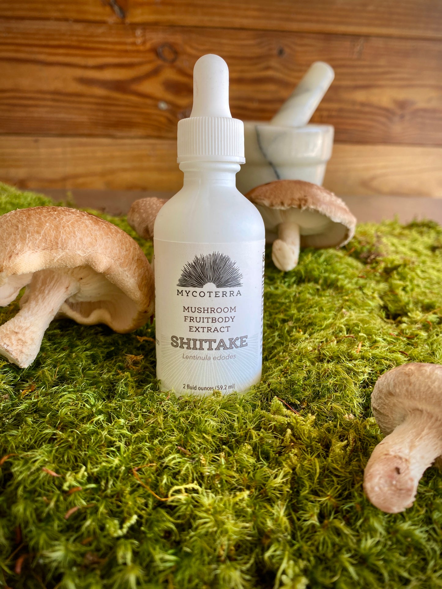 Organic Shiitake Mushroom Tincture 2oz.