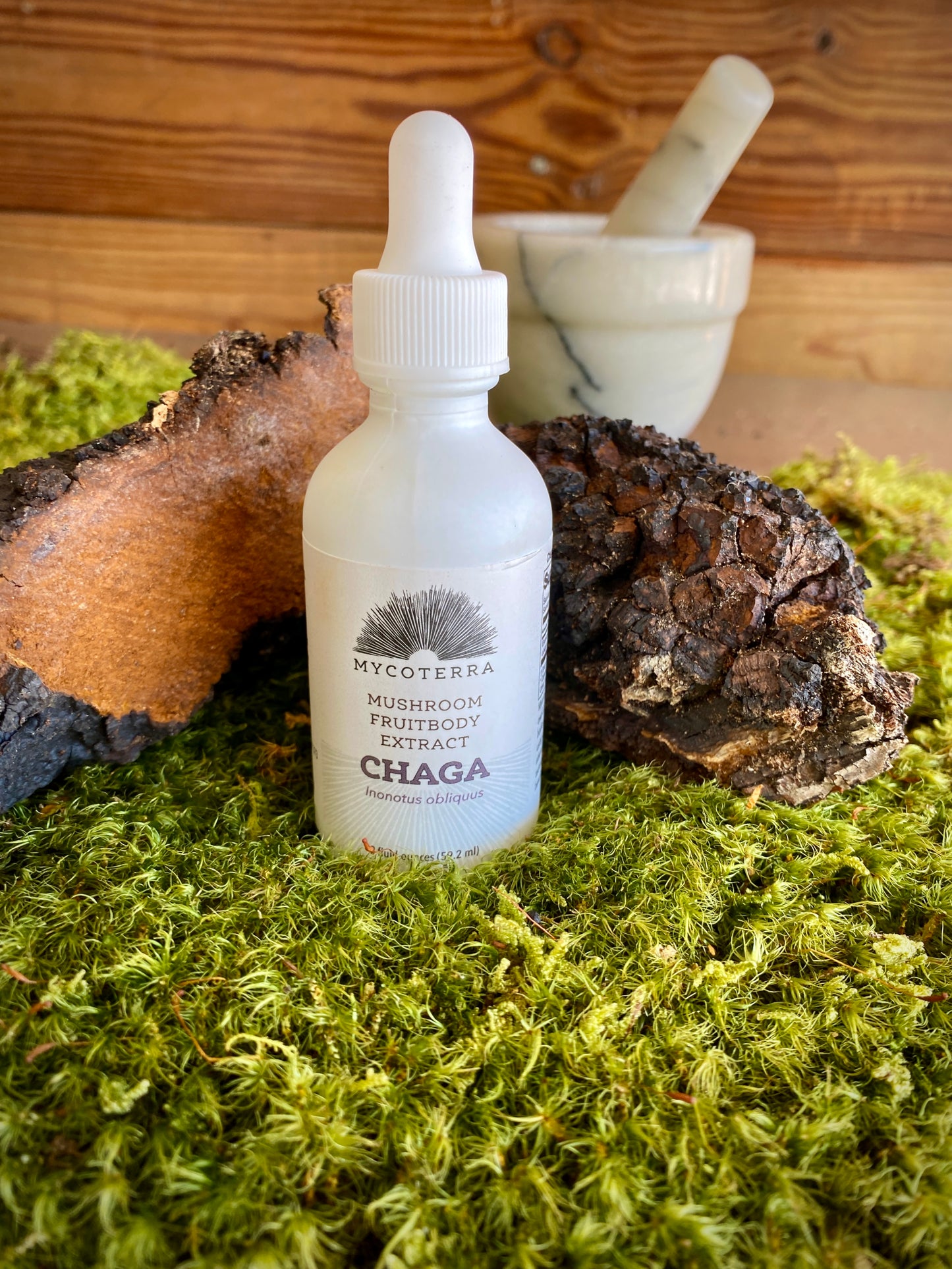 Organic Chaga Mushroom Tincture 2oz.