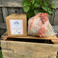 Pink Oyster Mushroom Grow Kit