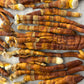 Reishi Mushroom Grow Kit