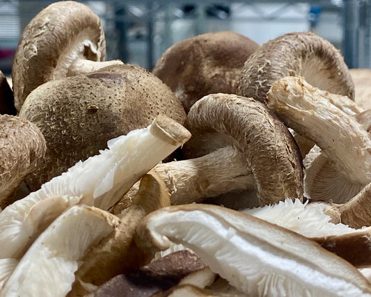 Fresh Organic Shiitake Mushrooms – Farm Pickup Only