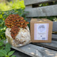 Chestnut Mushroom Grow Kit