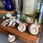 Fresh Organic Shiitake Mushrooms – Farm Pickup Only