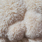 Lion's Mane Mushroom Grow Kit