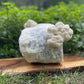Lion's Mane Mushroom Grow Kit