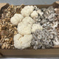 Fresh Organic Mushrooms Mixed Case– Farm Pickup Only