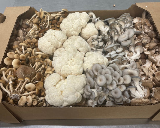 Fresh Organic Mushrooms Mixed Case– Farm Pickup Only