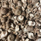 Fresh Organic Shiitake Mushrooms – Farm Pickup Only