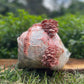 Pink Oyster Mushroom Grow Kit