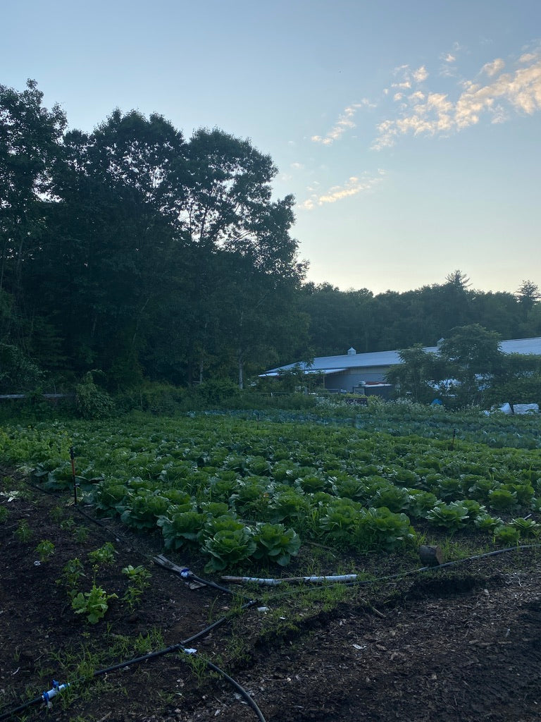 May Cultivation Workshop