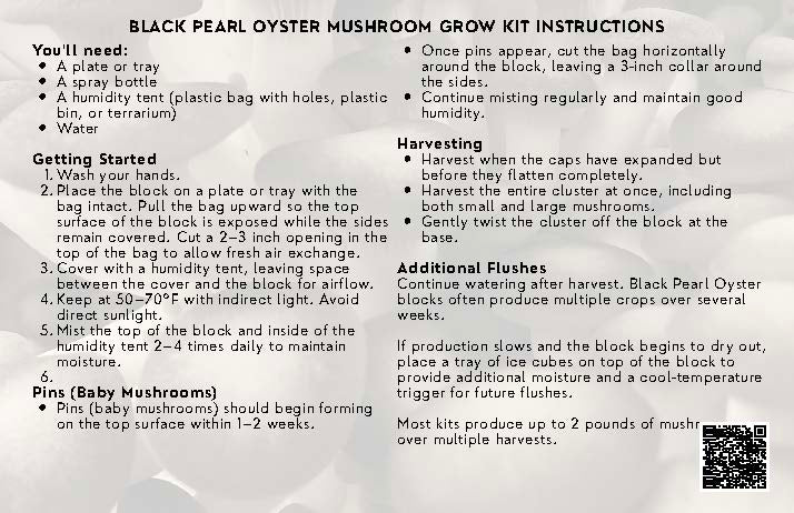 Black Pearl Oyster Mushroom Grow Kit