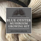 Blue Oyster Mushroom Grow Kit