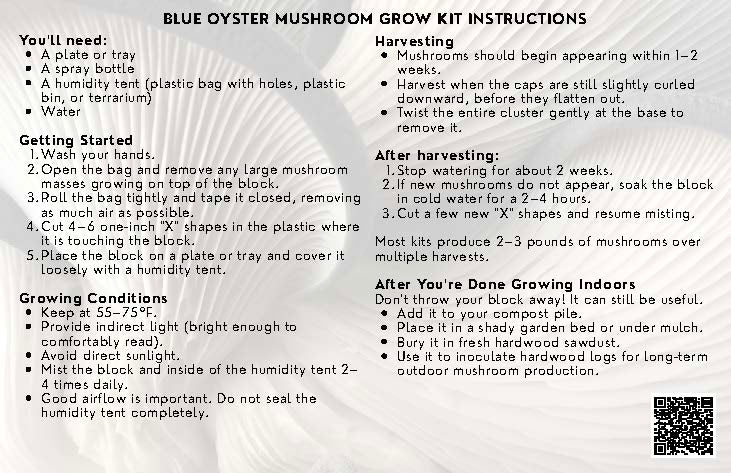 Blue Oyster Mushroom Grow Kit
