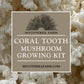 Coral Tooth Mushroom Grow Kit