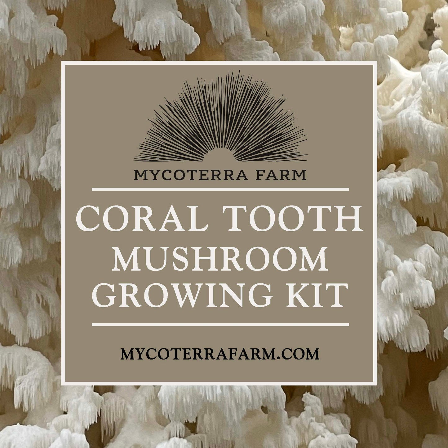 Coral Tooth Mushroom Grow Kit