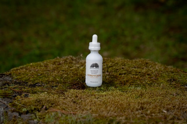 Organic Cordyceps Mushroom Tincture 2oz
