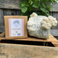 Lion's Mane Mushroom Grow Kit