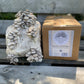 Blue Oyster Mushroom Grow Kit