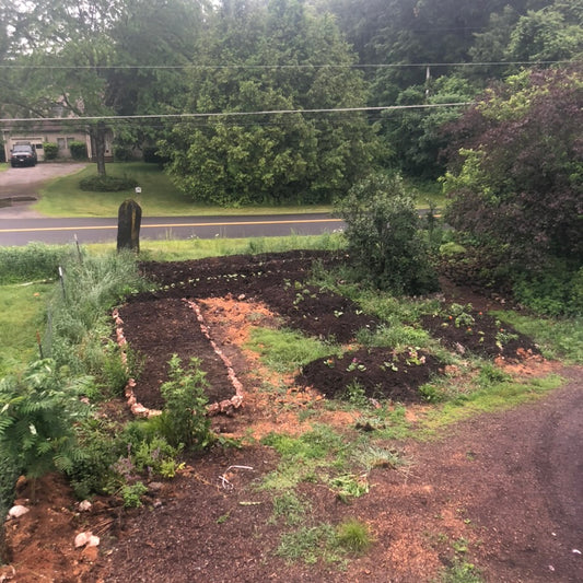 🌾 2026 Mycoterra Farm Grow With Us CSA – Farm Share Membership