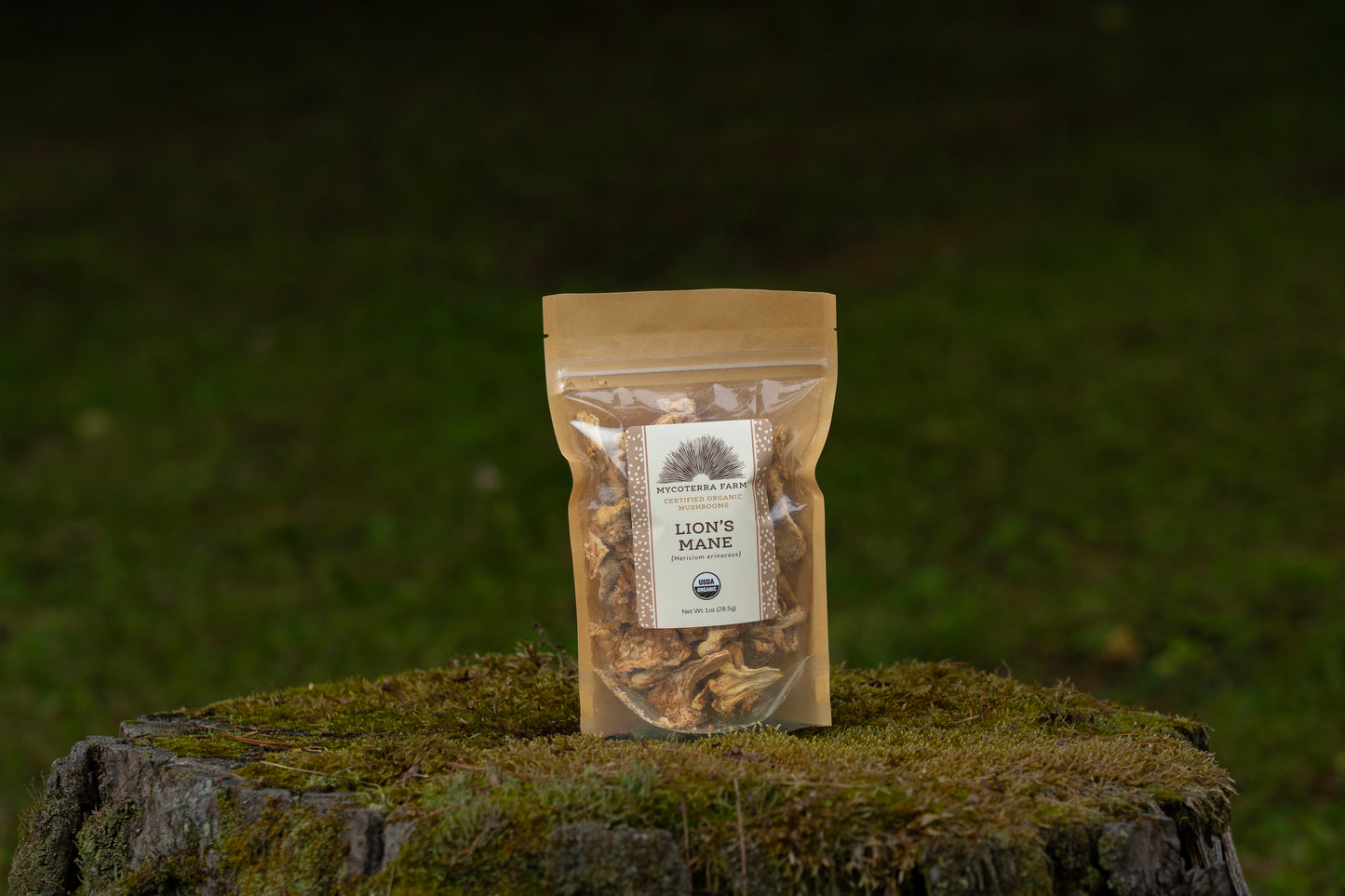 Certified Organic Dried Lion's Mane Mushrooms
