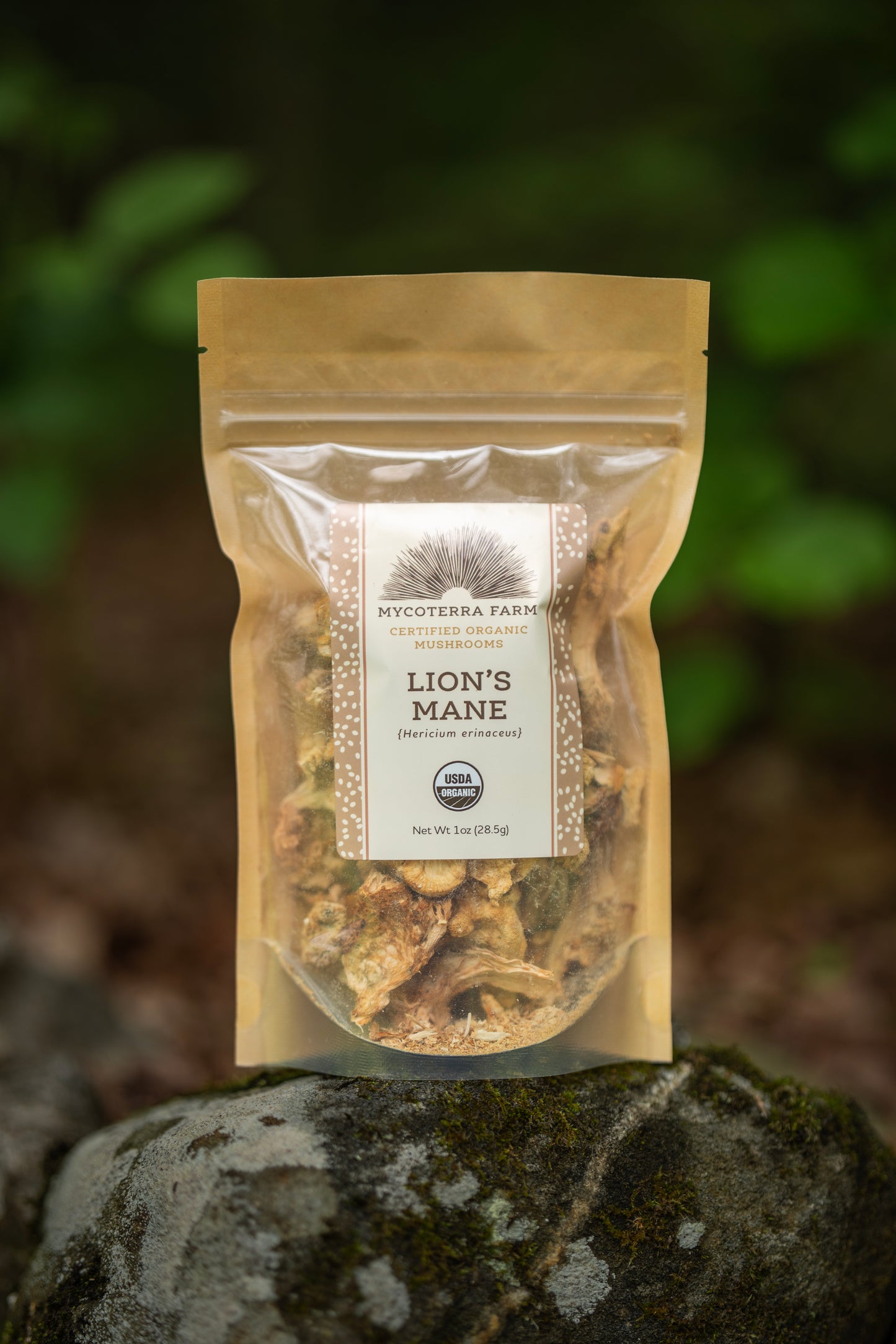 Certified Organic Dried Lion's Mane Mushrooms