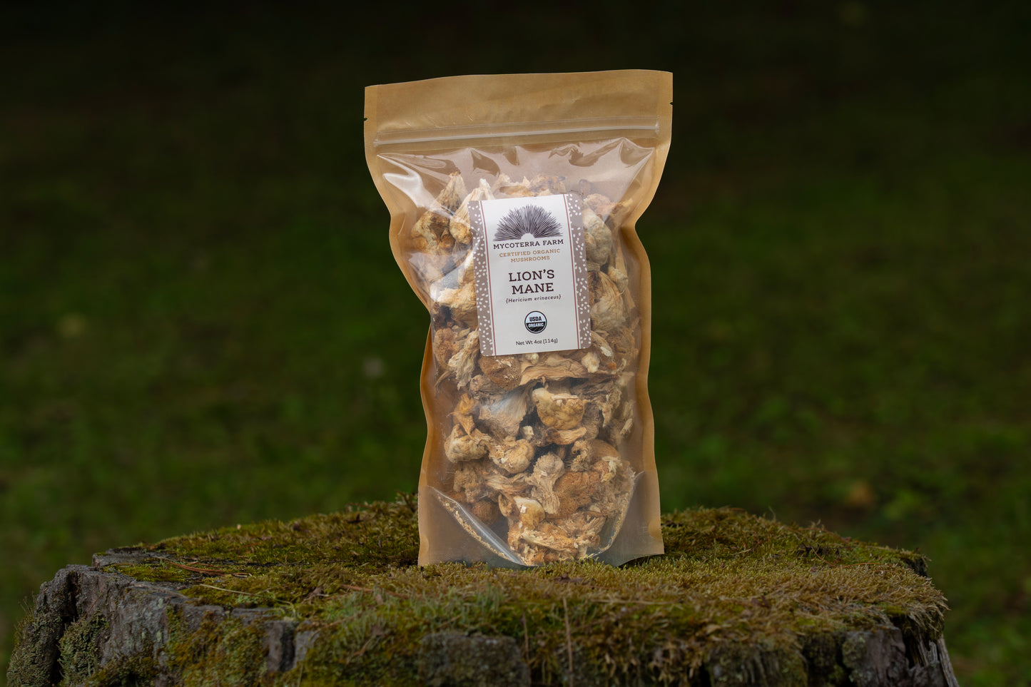 Certified Organic Dried Lion's Mane Mushrooms