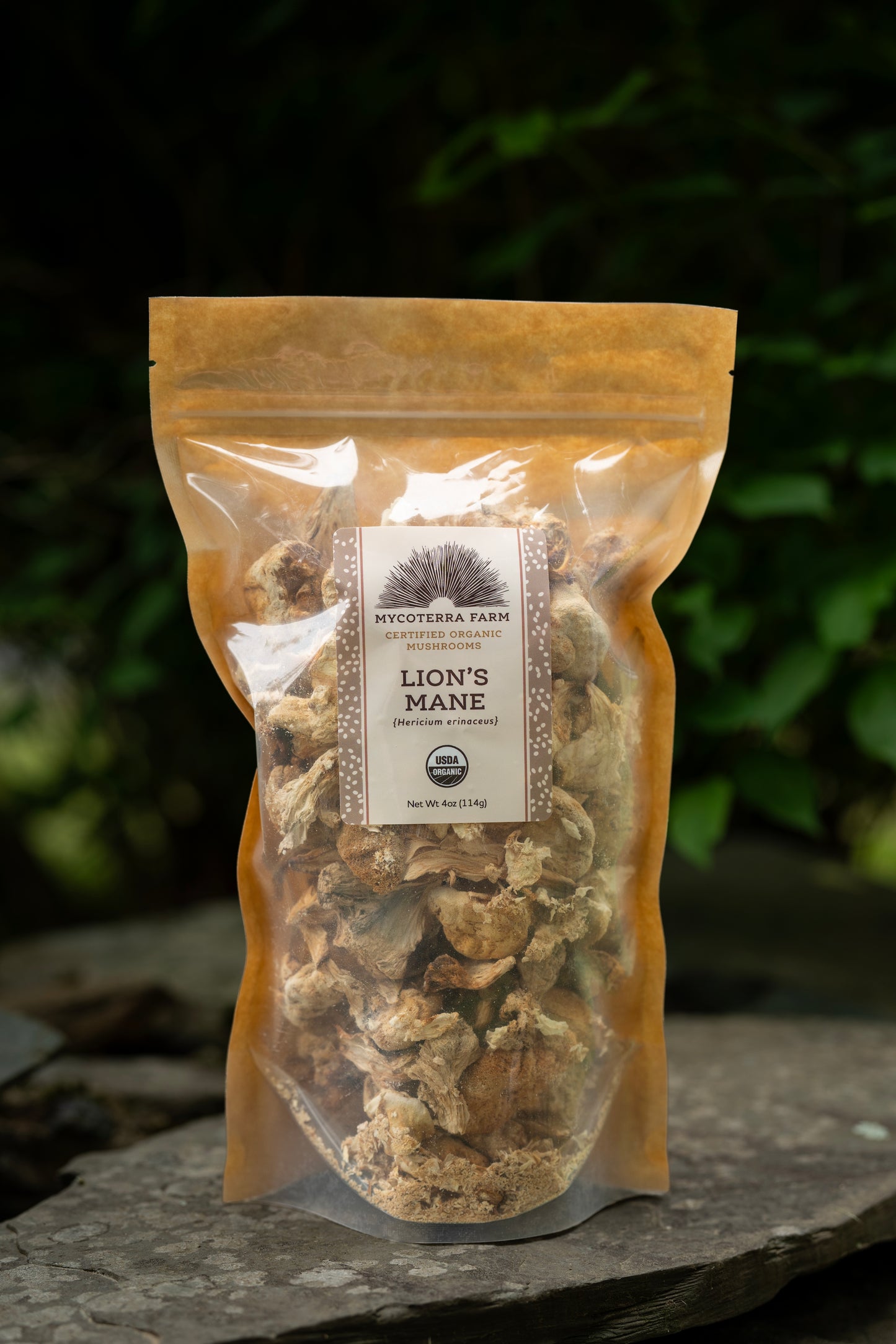 Certified Organic Dried Lion's Mane Mushrooms