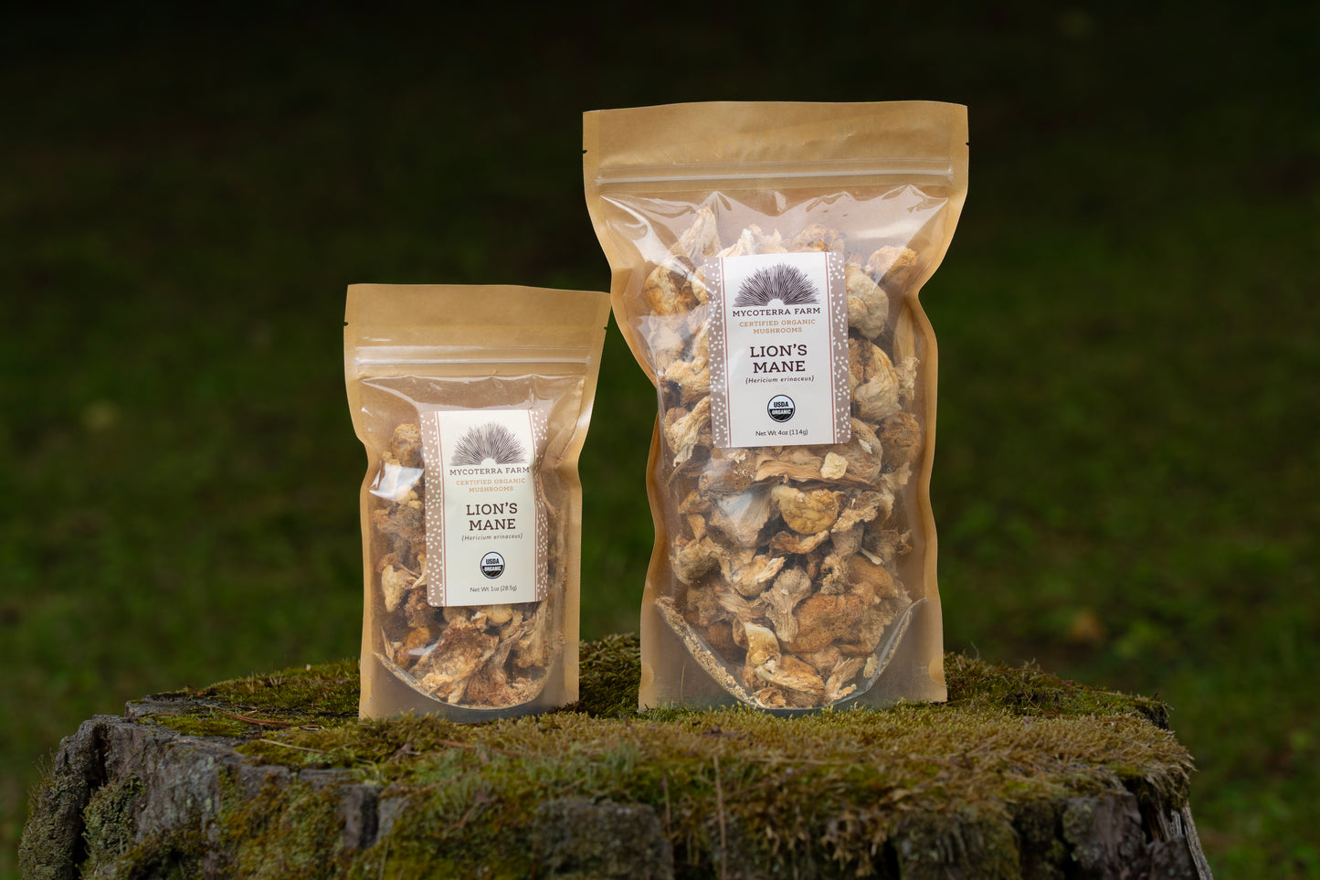 Certified Organic Dried Lion's Mane Mushrooms