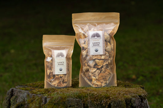Certified Organic Dried Lion's Mane Mushrooms