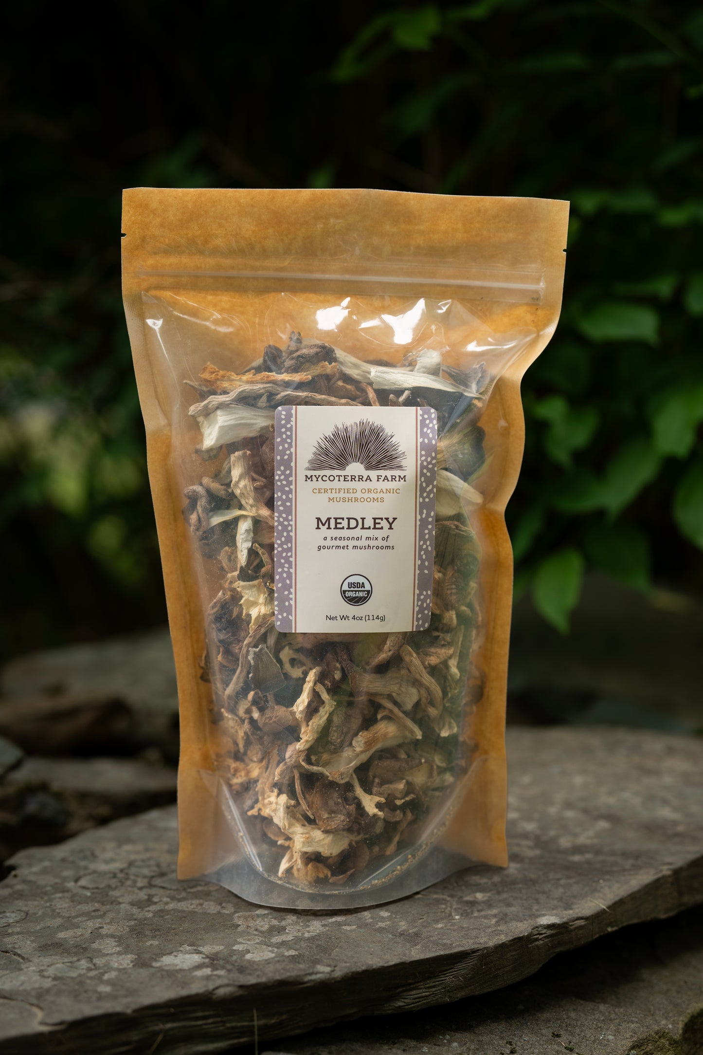 Certified Organic Dried Mushroom Medley