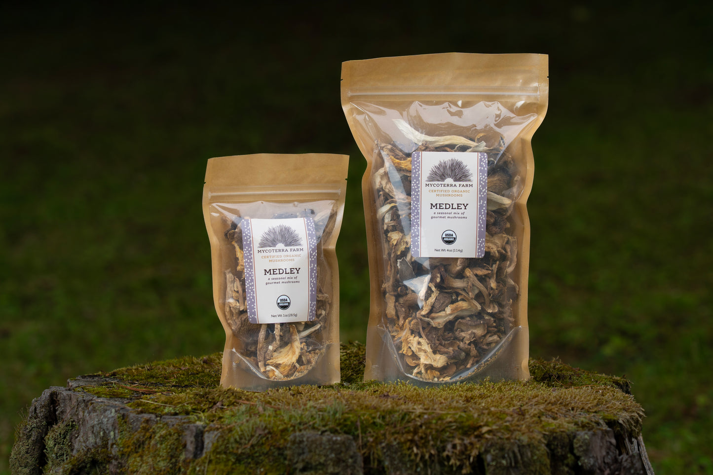 Certified Organic Dried Mushroom Medley