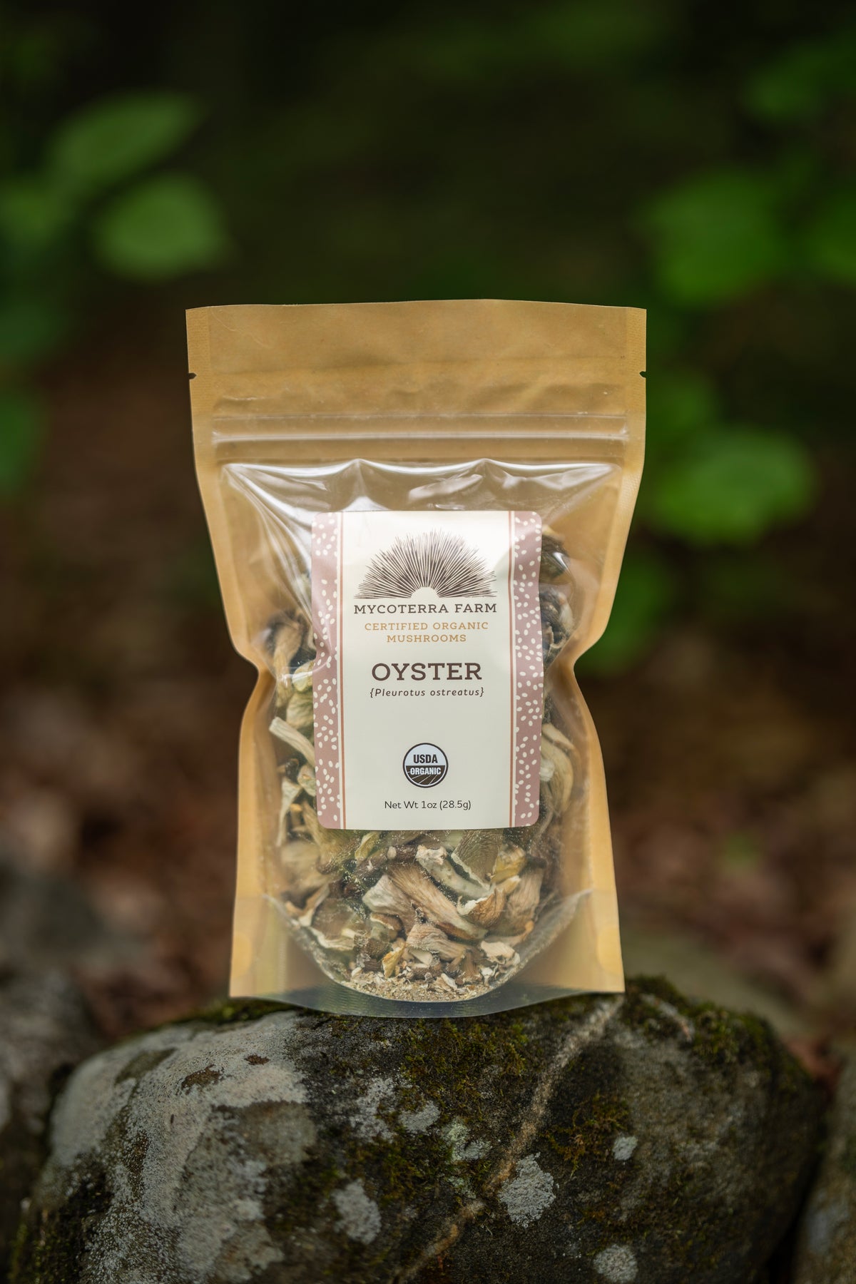 Certified Organic Dried Oyster Mushroom