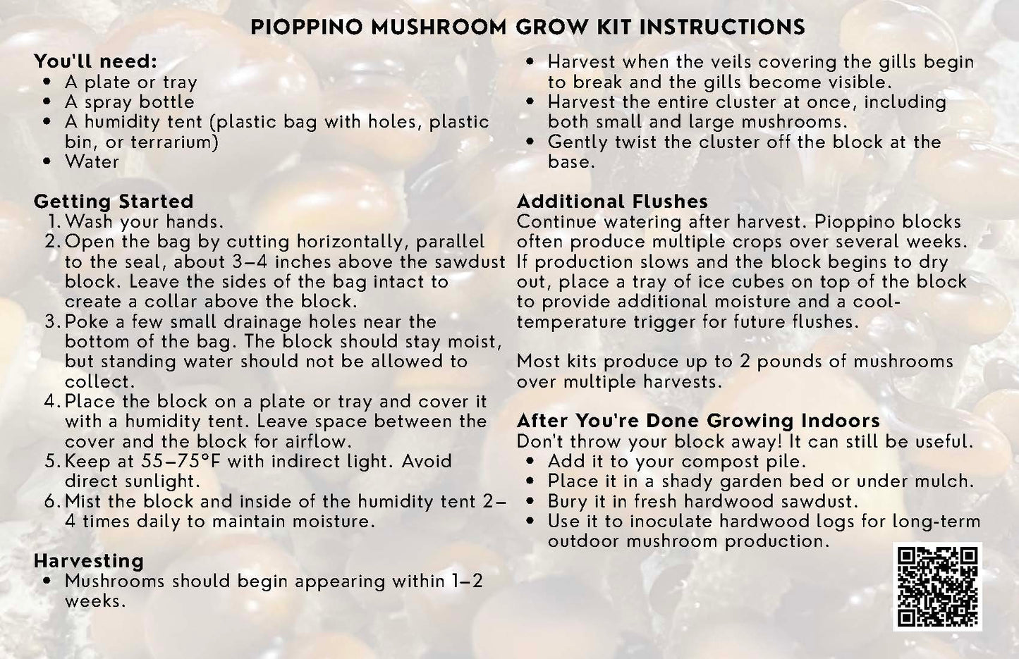Pioppino Mushroom Grow Kit