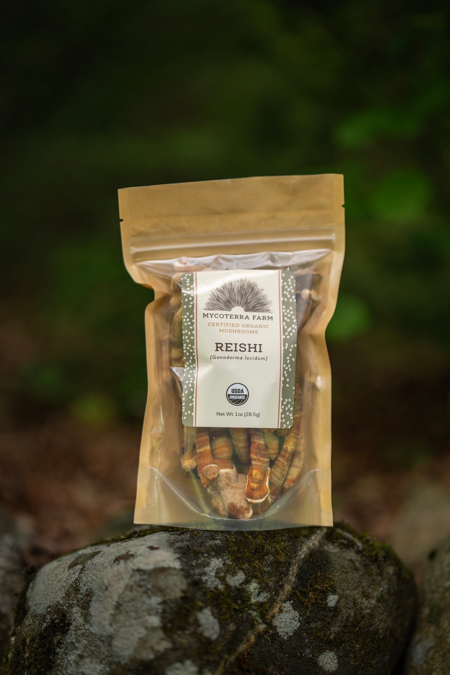 Certified Organic Dried Reishi Mushrooms