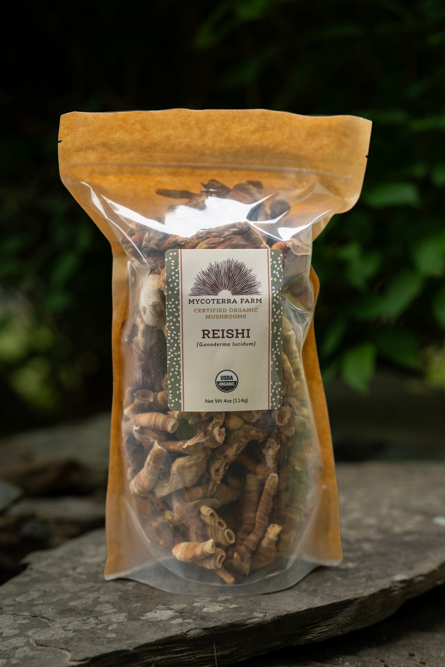 Bag of Reishi mushrooms with a label on a stone surface