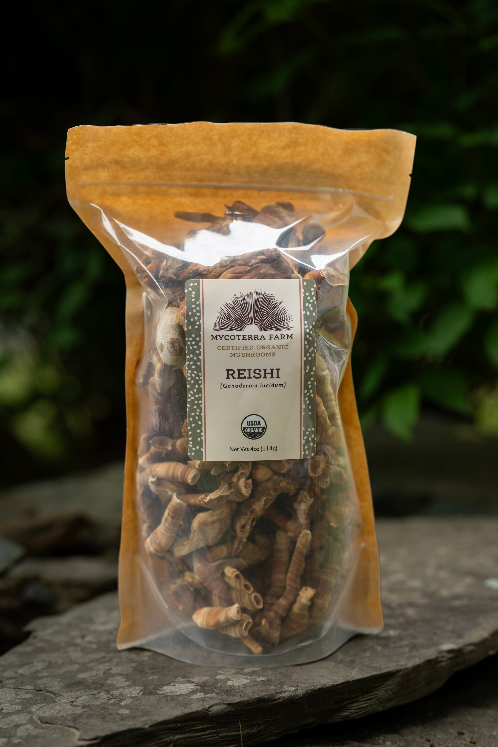 Bag of Reishi mushrooms with a label on a stone surface