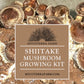 Kit Bundle
