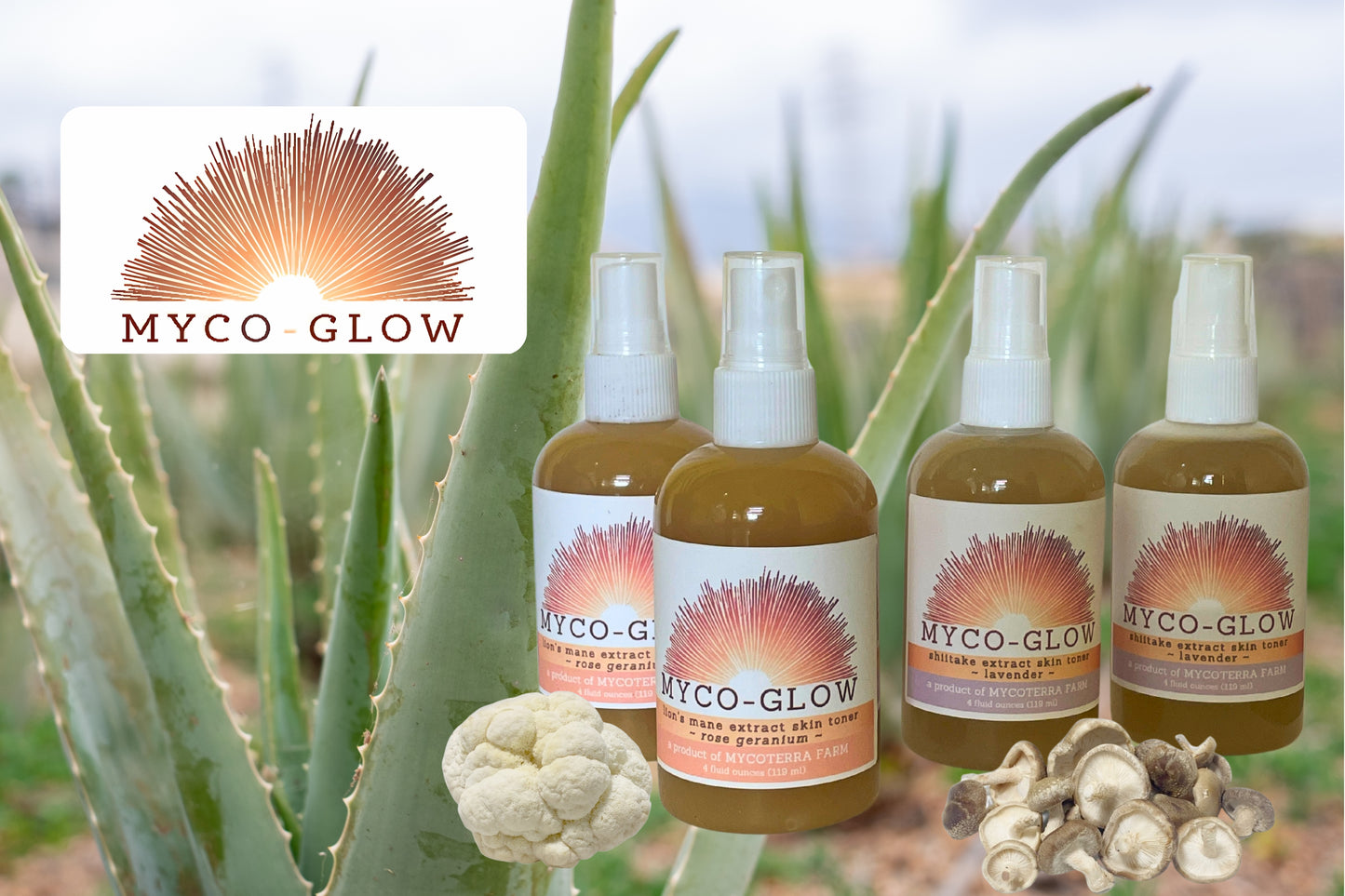 Lion's Mane Extract Skin Toner