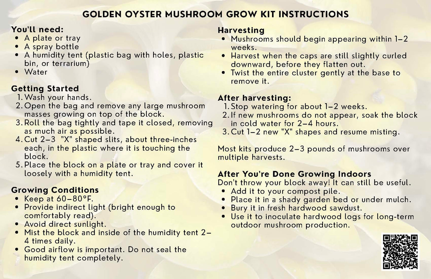 Yellow Oyster Mushroom Grow Kit