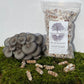 Blue Oyster Mushroom Plug Spawn