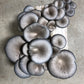 Blue Oyster Mushroom Grow Kit