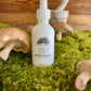 Organic Shiitake Mushroom Tincture 2oz.