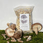Shiitake Mushroom Plug Spawn